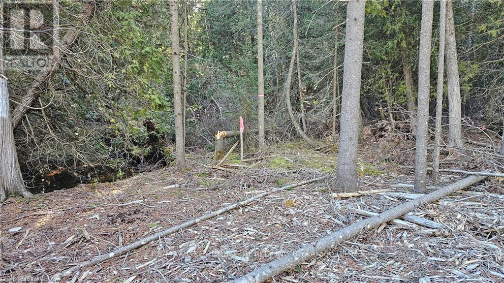 3 Donald Road, Northern Bruce Peninsula, Ontario  N0H 1Z0 - Photo 3 - X10848811