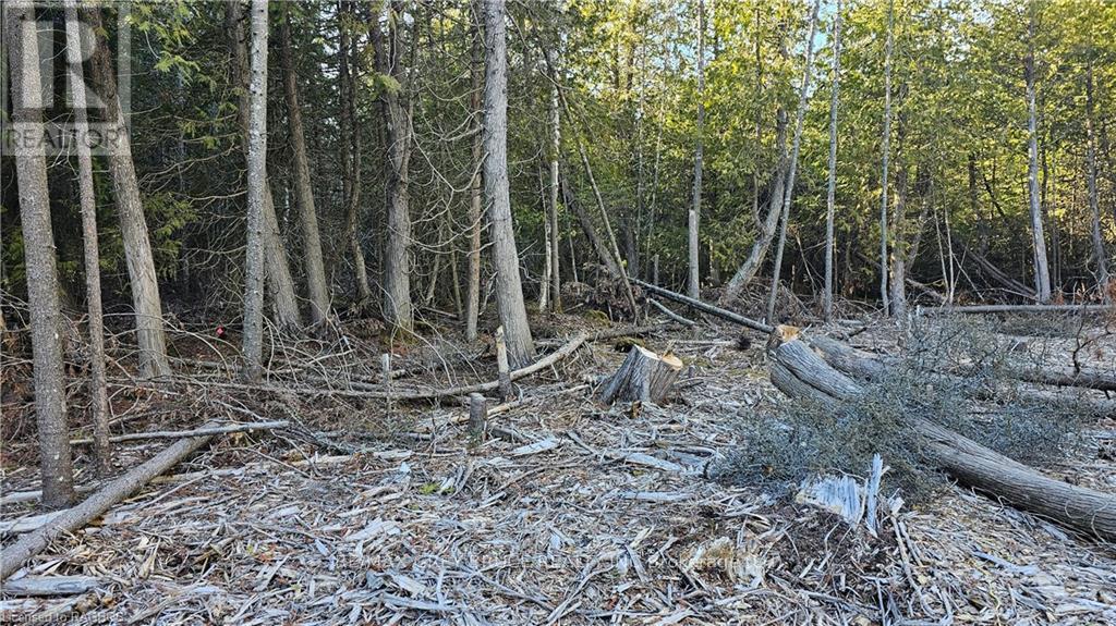 3 Donald Road, Northern Bruce Peninsula, Ontario  N0H 1Z0 - Photo 4 - X10848811