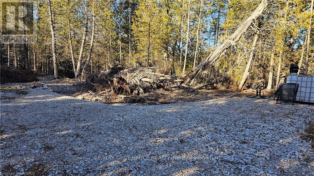 3 Donald Road, Northern Bruce Peninsula, Ontario  N0H 1Z0 - Photo 5 - X10848811