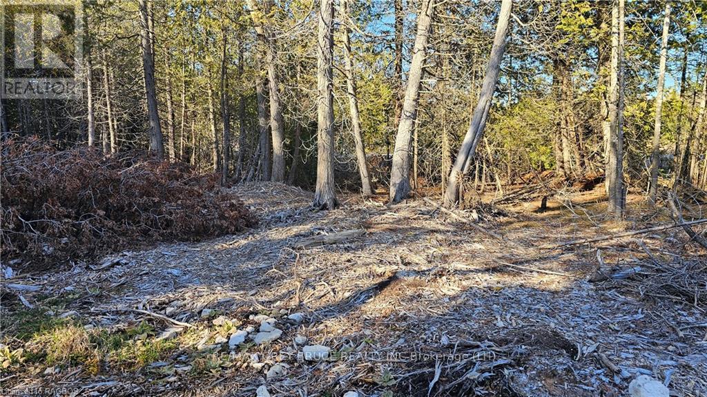 3 Donald Road, Northern Bruce Peninsula, Ontario  N0H 1Z0 - Photo 6 - X10848811