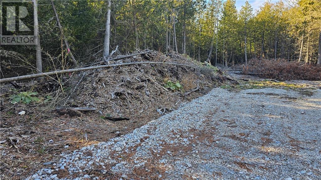 3 Donald Road, Northern Bruce Peninsula, Ontario  N0H 1Z0 - Photo 8 - X10848811