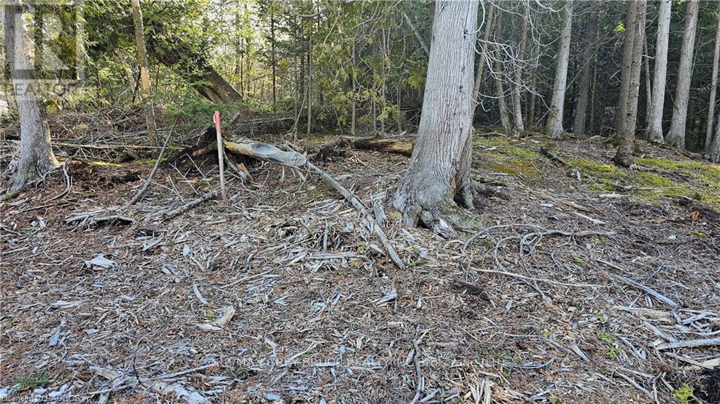 3 Donald Road, Northern Bruce Peninsula, Ontario  N0H 1Z0 - Photo 9 - X10848811