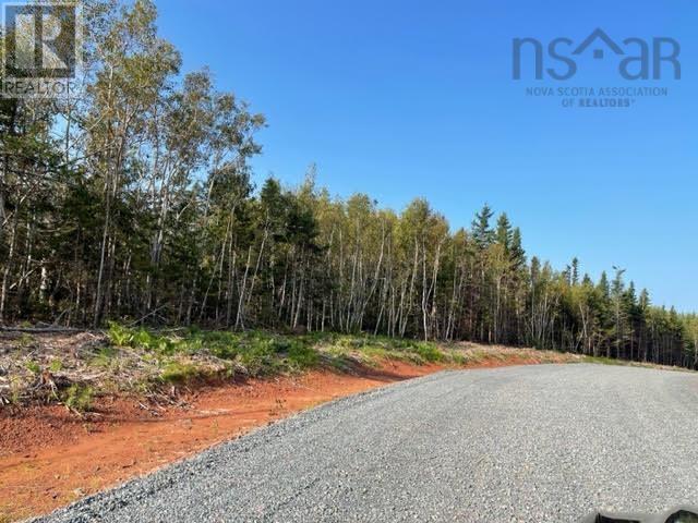 Lot 22 Pugwash Point Road, Pugwash, Nova Scotia  B0K 1L0 - Photo 11 - 202401479