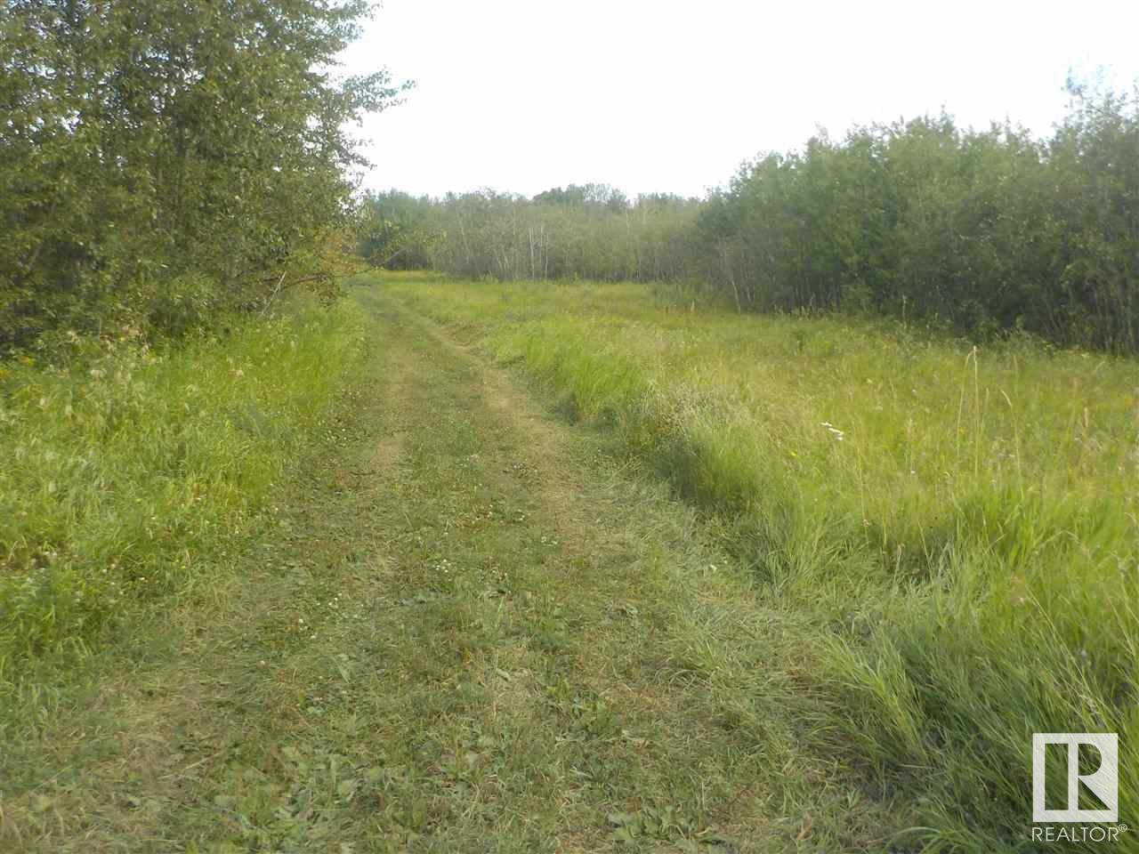 44 St, Redwater, Alberta  T0A 2W0 - Photo 5 - E4210945