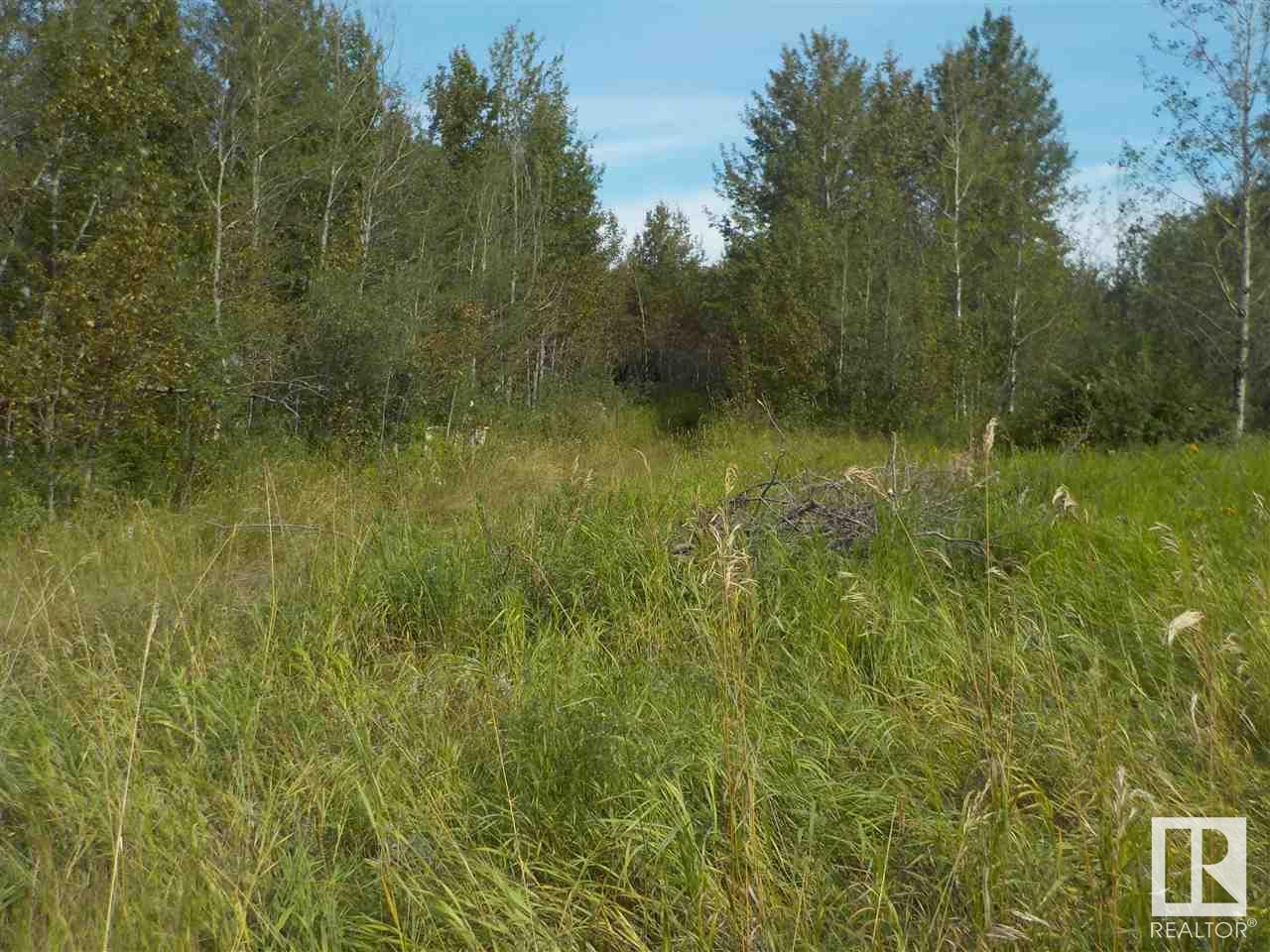 44 St, Redwater, Alberta  T0A 2W0 - Photo 4 - E4210945