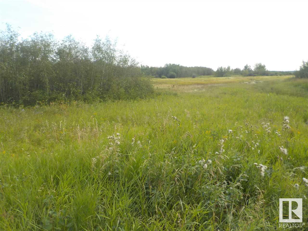 44 St, Redwater, Alberta  T0A 2W0 - Photo 6 - E4210945