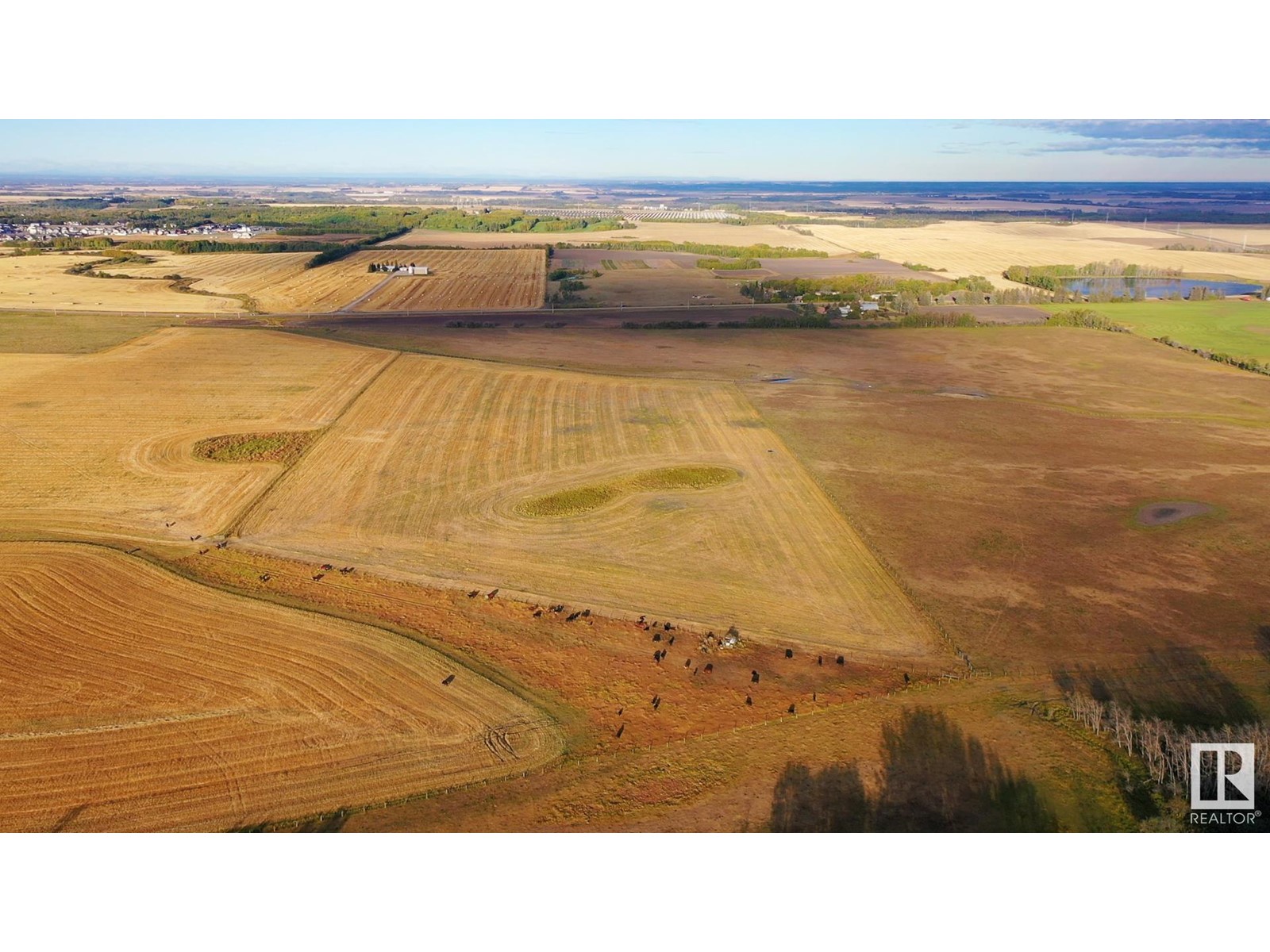 6360 C & E Tr, Innisfail, Alberta  T4G 0G9 - Photo 8 - E4317210
