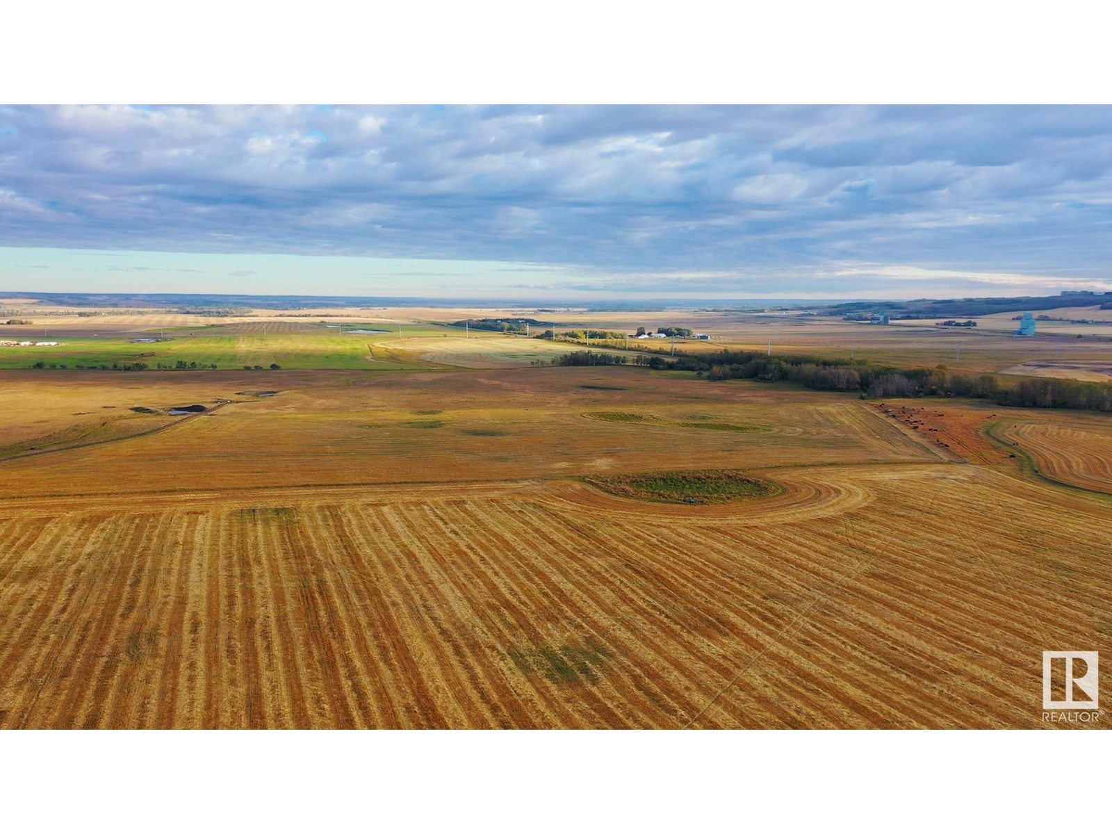 6360 C & E Tr, Innisfail, Alberta  T4G 0G9 - Photo 10 - E4317210
