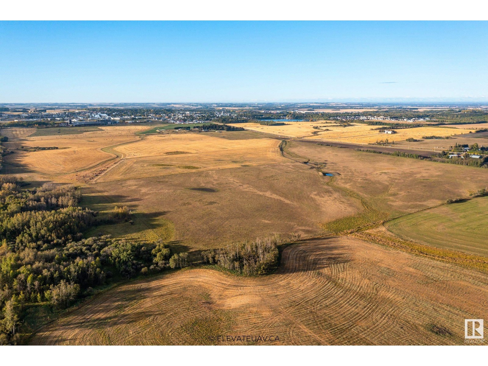 6360 C & E Tr, Innisfail, Alberta  T4G 0G9 - Photo 8 - E4317208