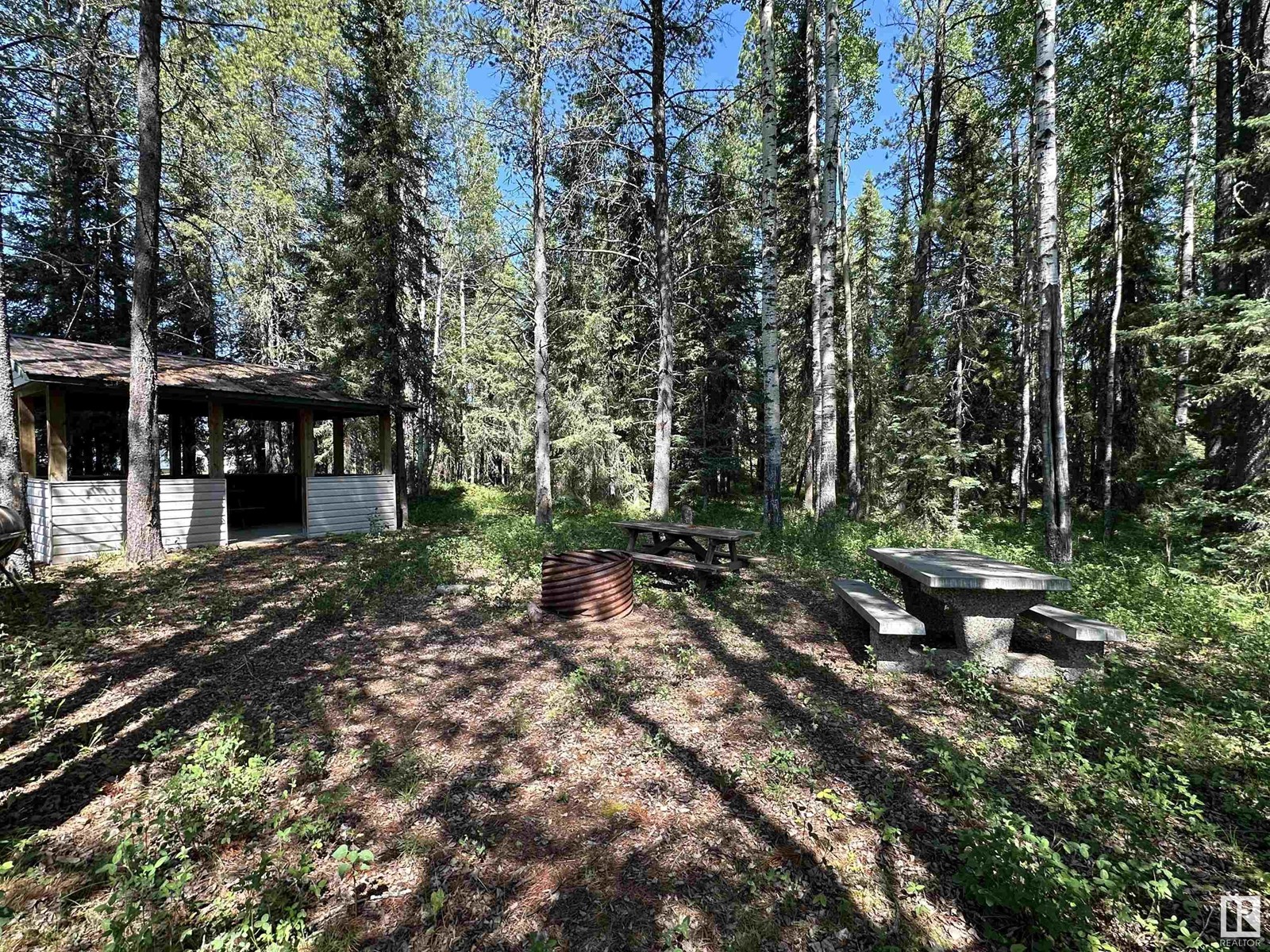 4854 53 Av, Cynthia, Alberta  T0E 0K0 - Photo 6 - E4374691