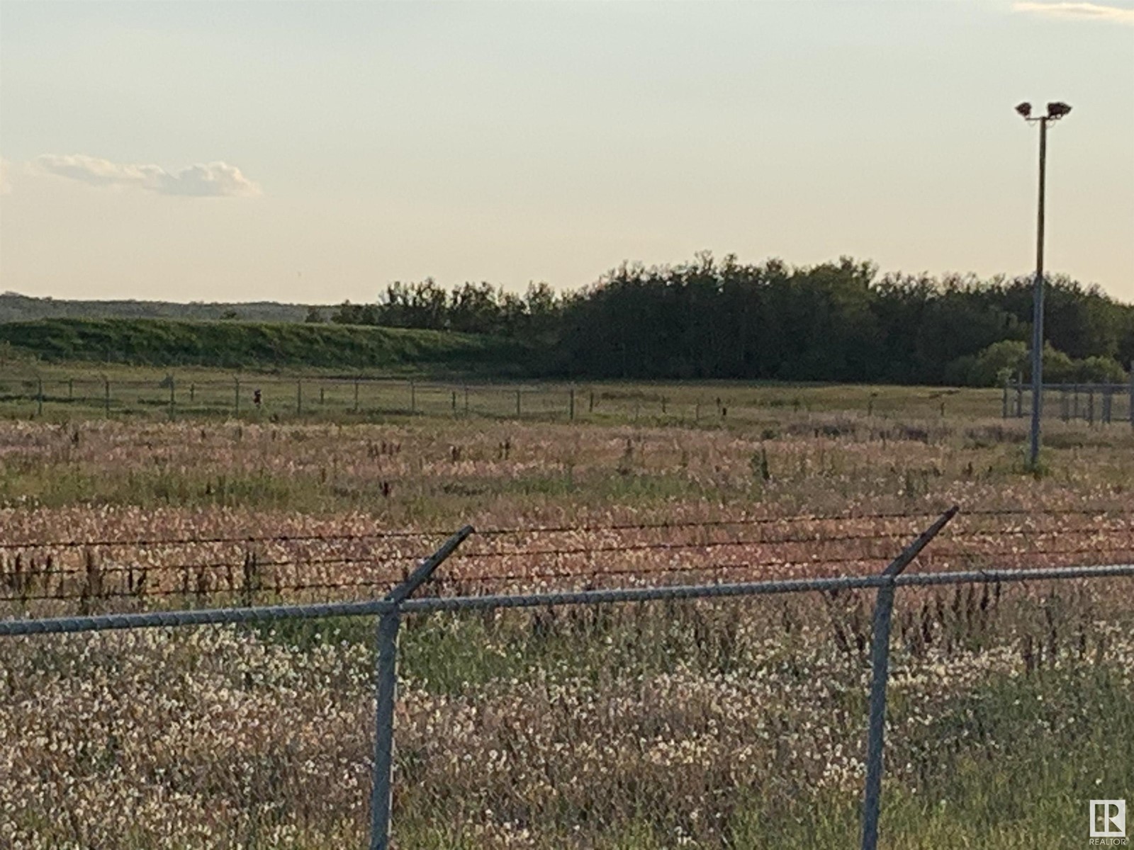 4920 Hwy 15, Lamont, Alberta  T0B 2R0 - Photo 22 - E4401568