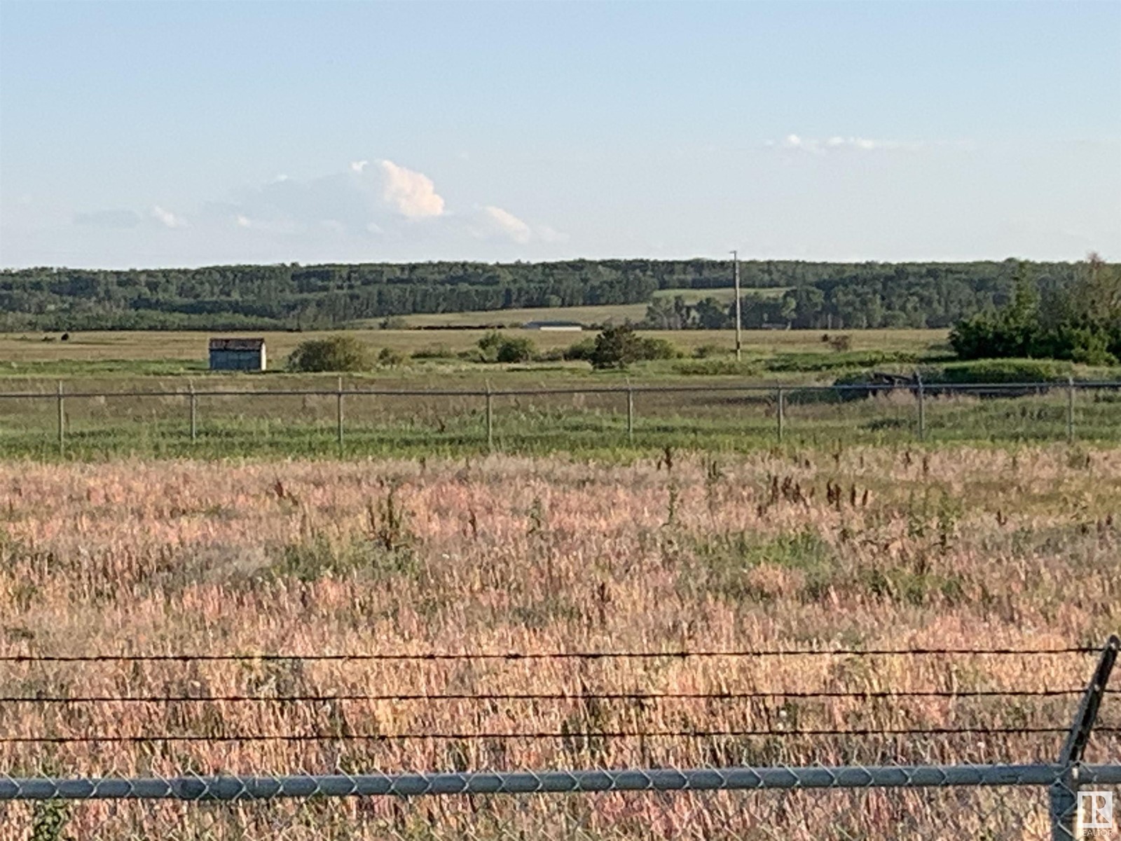 4920 Hwy 15, Lamont, Alberta  T0B 2R0 - Photo 9 - E4401568