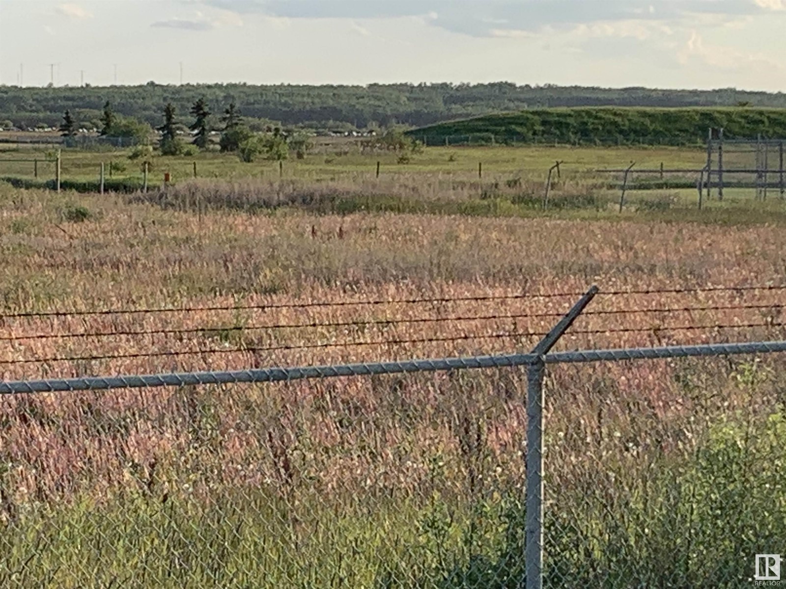 4920 Hwy 15, Lamont, Alberta  T0B 2R0 - Photo 10 - E4401568