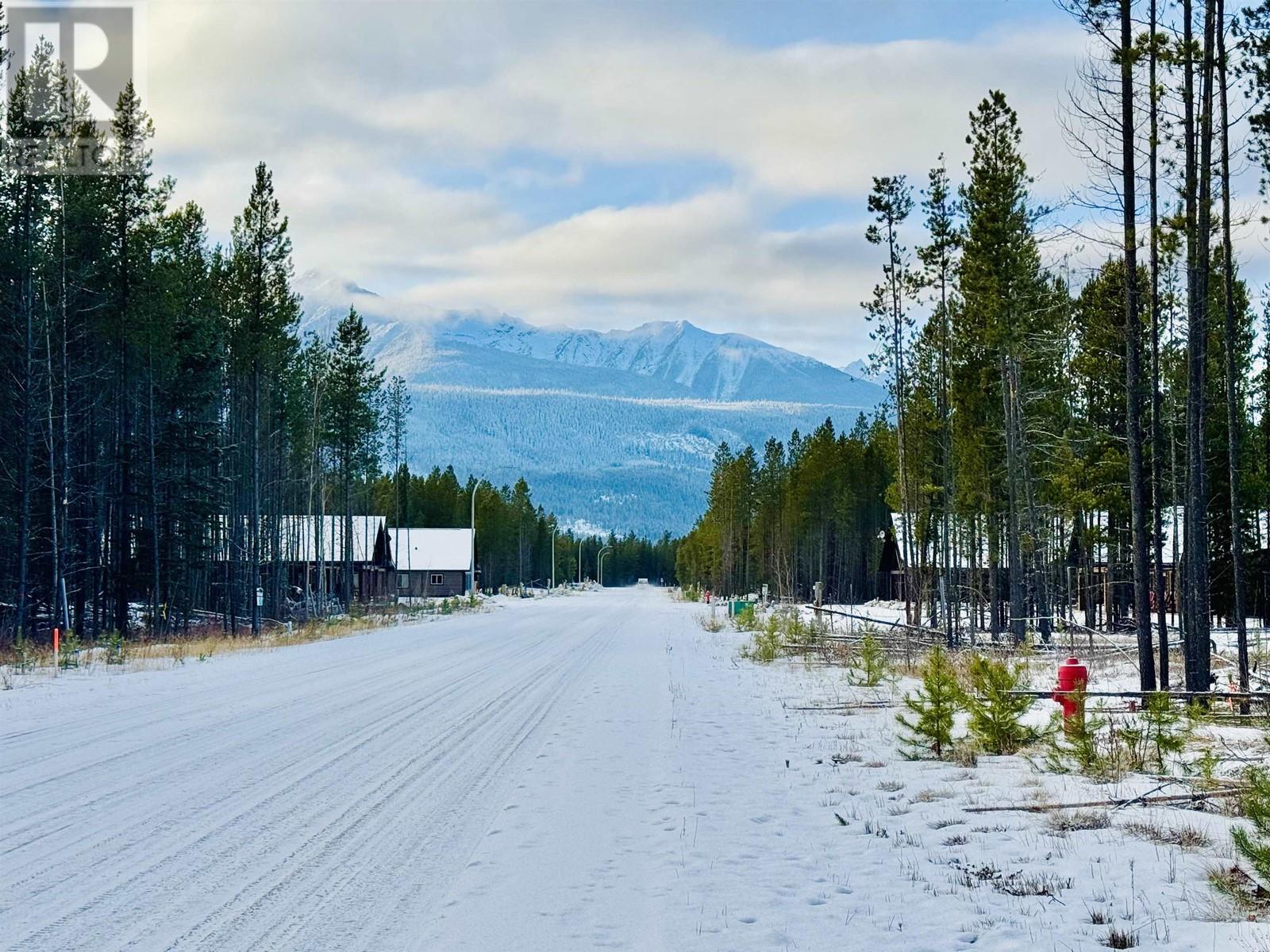 Valemount Vacant Land for sale:    (Listed 2024-12-17)