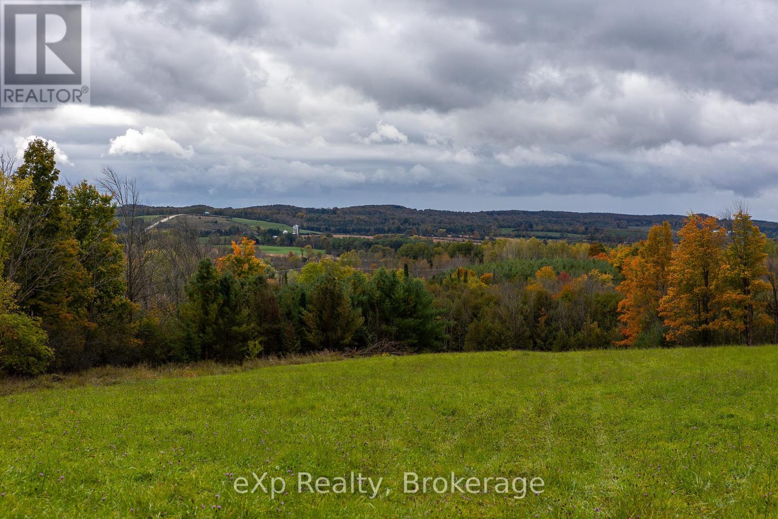 084482 6 Side Road, Meaford, Ontario  N0H 1E0 - Photo 11 - X11895985