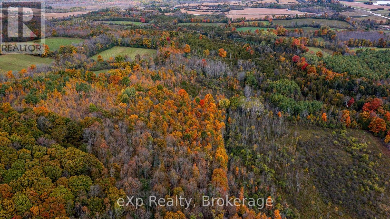 084482 6 Side Road, Meaford, Ontario  N0H 1E0 - Photo 18 - X11895985
