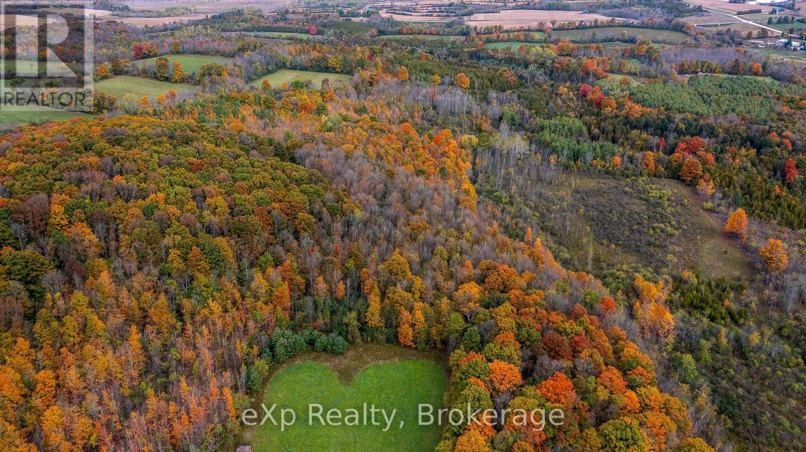 084482 6 Side Road, Meaford, Ontario  N0H 1E0 - Photo 19 - X11895985