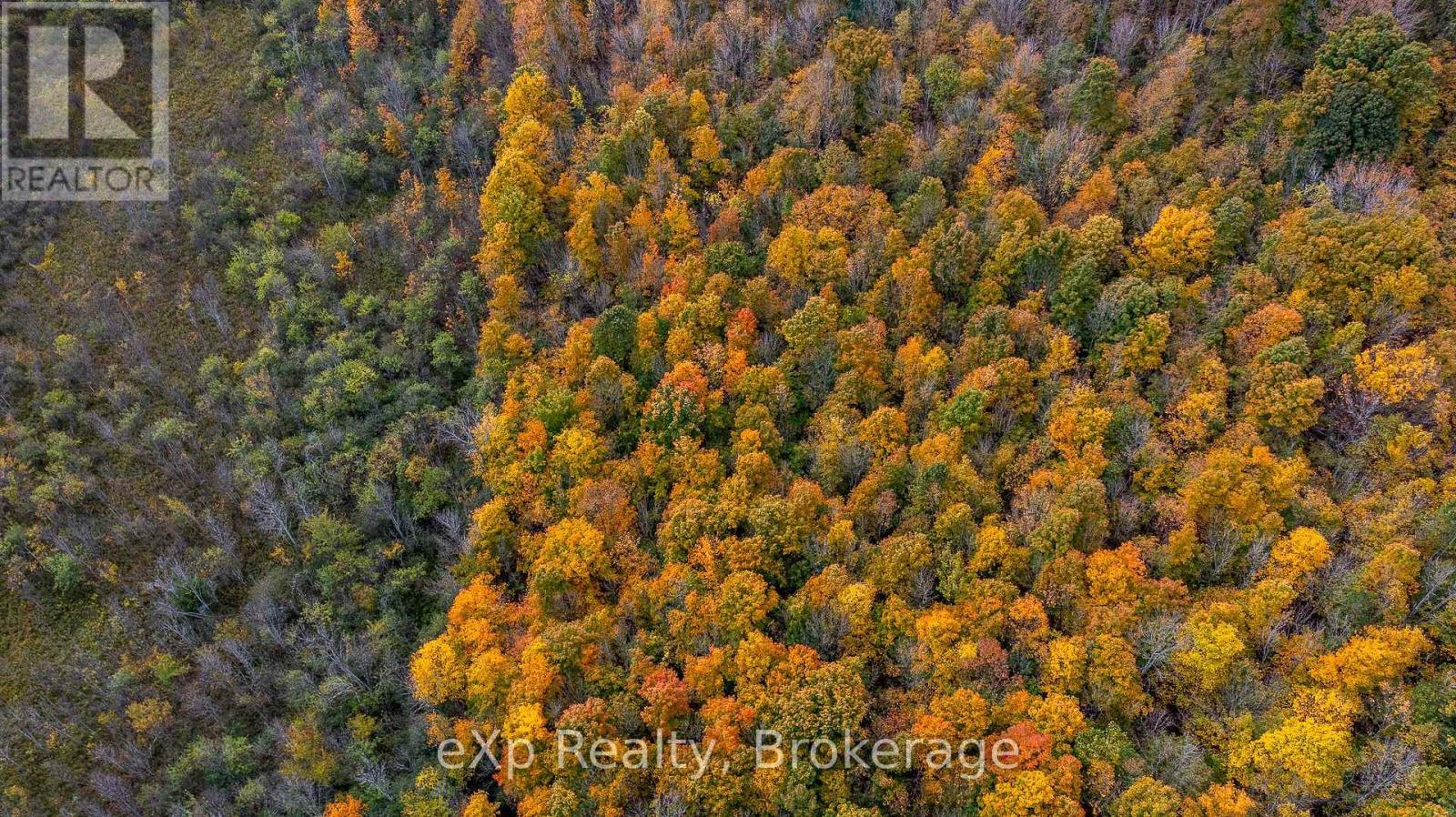 084482 6 Side Road, Meaford, Ontario  N0H 1E0 - Photo 20 - X11895985