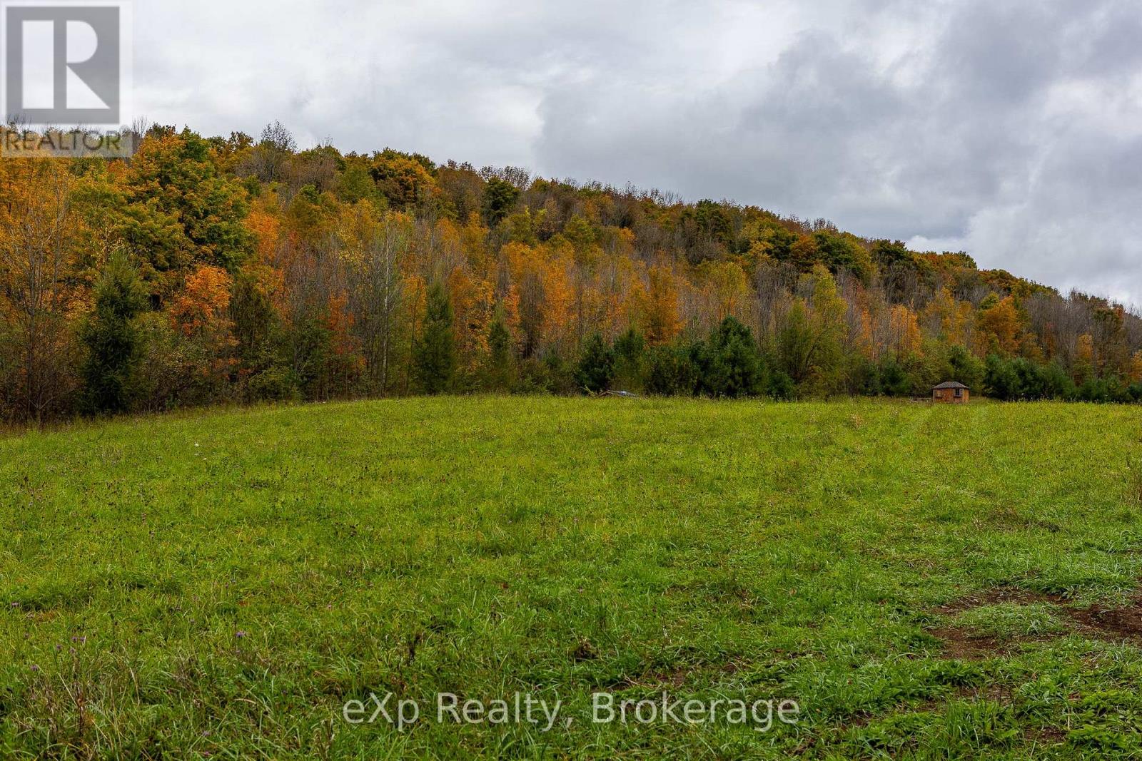 084482 6 Side Road, Meaford, Ontario  N0H 1E0 - Photo 4 - X11895985