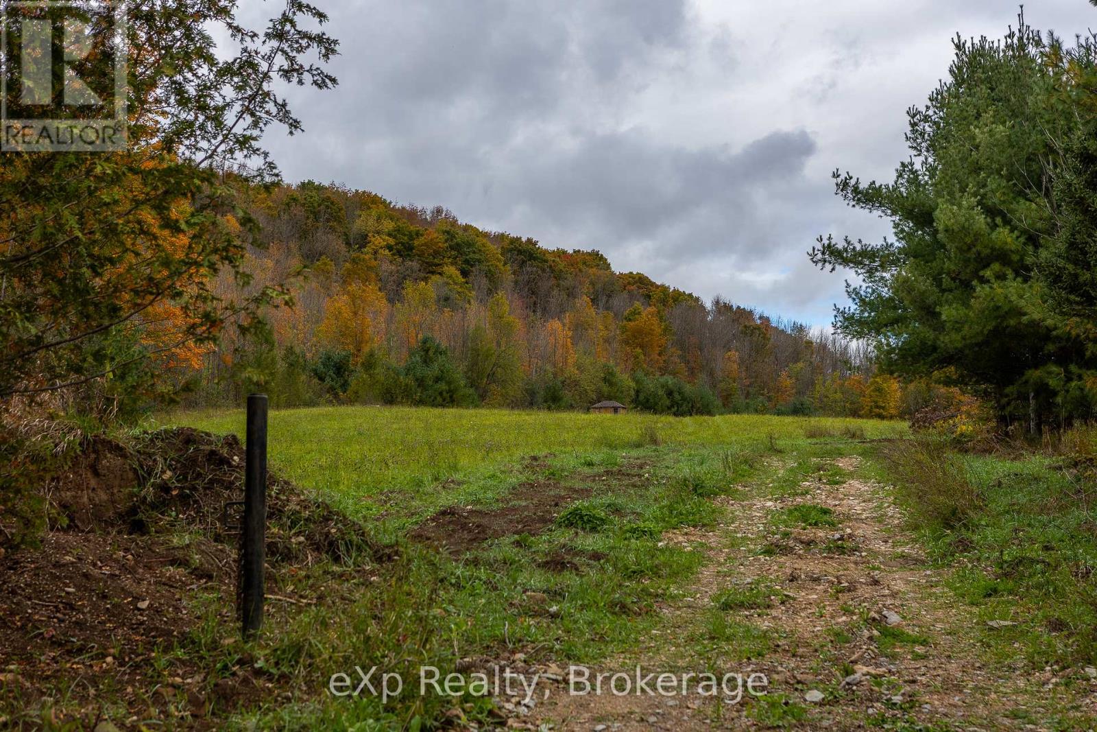 084482 6 Side Road, Meaford, Ontario  N0H 1E0 - Photo 7 - X11895985