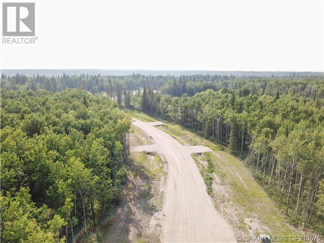 53, 704016 Range Road 70, County Of, Alberta  T0H 3V0 - Photo 2 - A2099931