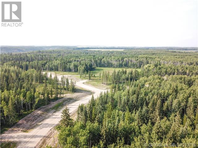 62, 704016 Range Road 70, County Of, Alberta  T0H 3V0 - Photo 3 - A2099440