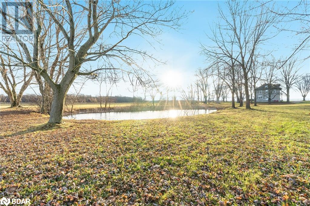 7884 County Road 13, Lisle, Ontario  L0M 1M0 - Photo 19 - 40680693