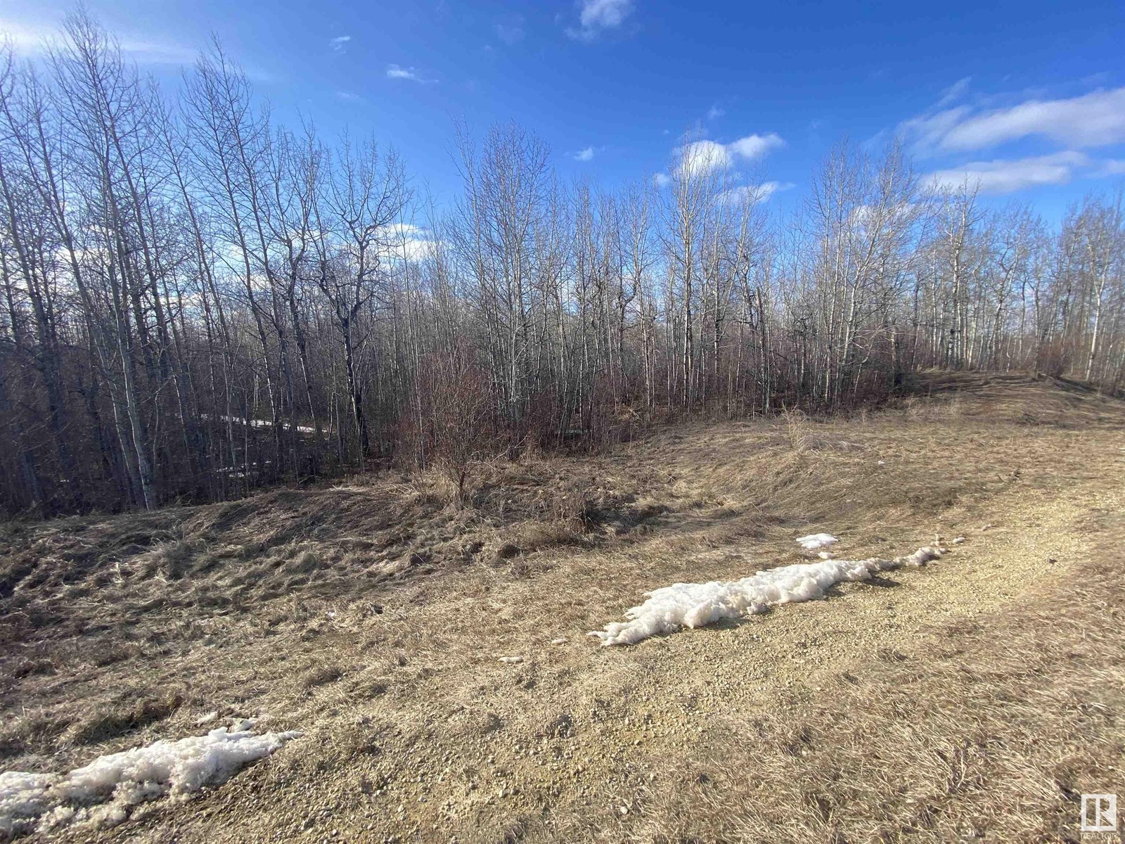 14 54419 Rge Rd 14, Rural Lac Ste. Anne County, Alberta  T0E 1V0 - Photo 5 - E4286999