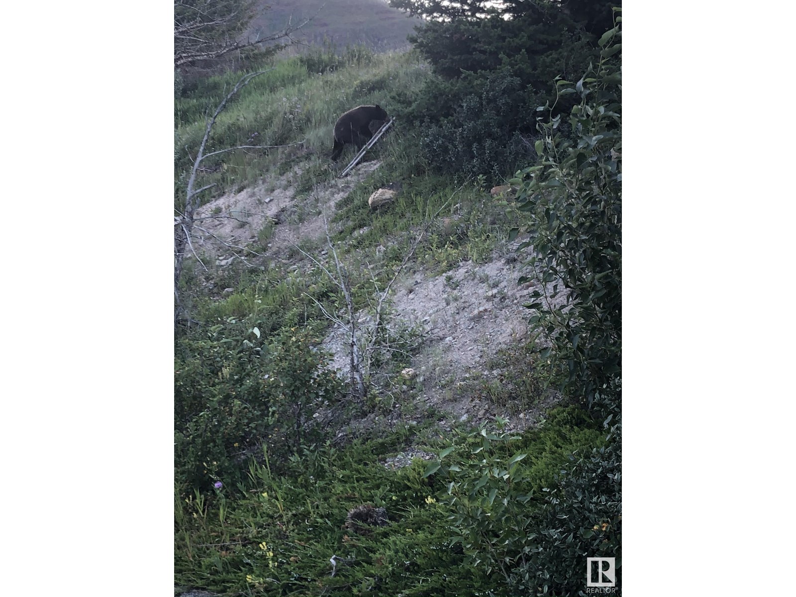 Lot 10 Heritage Ranch Subdivision, Rural Cardston County, Alberta  T0K 0K0 - Photo 16 - E4288892