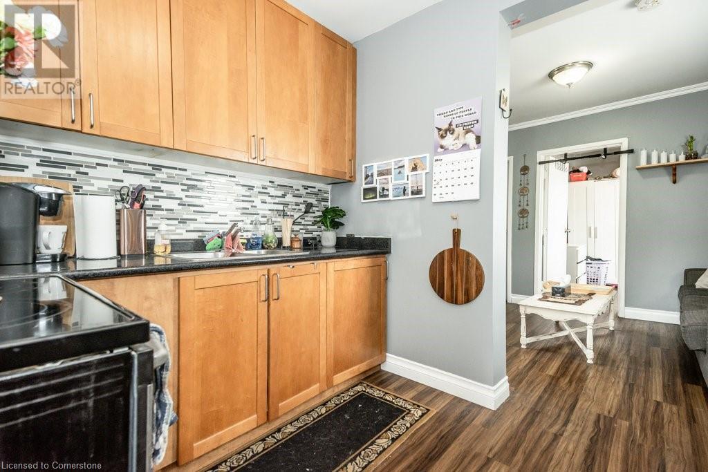 165 Nelson Street, Brantford, Ontario  N3S 4B7 - Photo 19 - 40672838