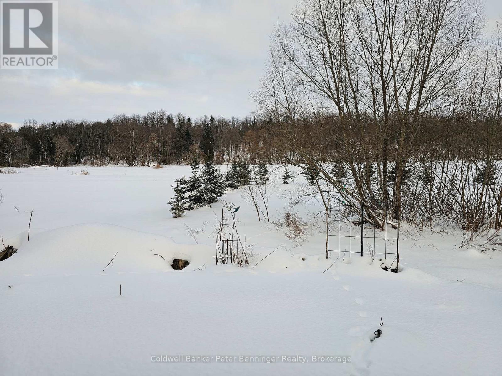 6 Dundas Street, Arran-Elderslie, Ontario  N0G 2N0 - Photo 31 - X11892512