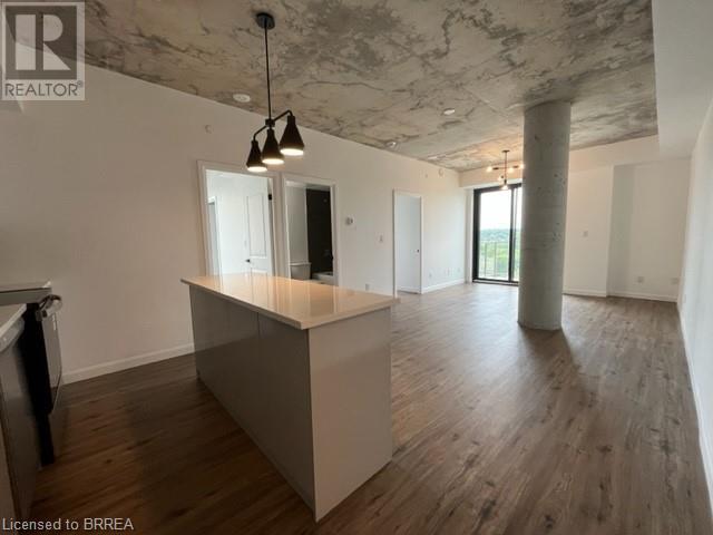7 Erie Avenue Unit# 810, Brantford, Ontario  N3S 0K5 - Photo 11 - 40684724
