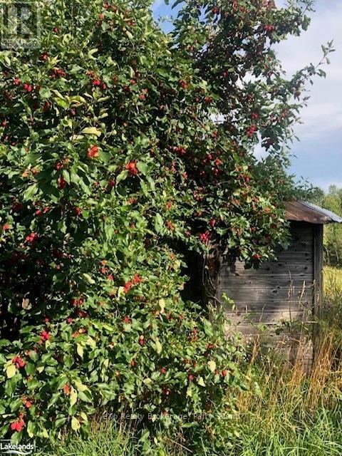 8 Old Mill Road, Unorganized, Ontario  P0H 1A0 - Photo 32 - X10440011