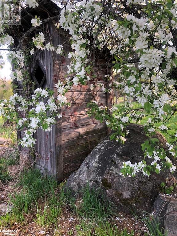 8 Old Mill Road, Unorganized, Ontario  P0H 1A0 - Photo 37 - X10440011