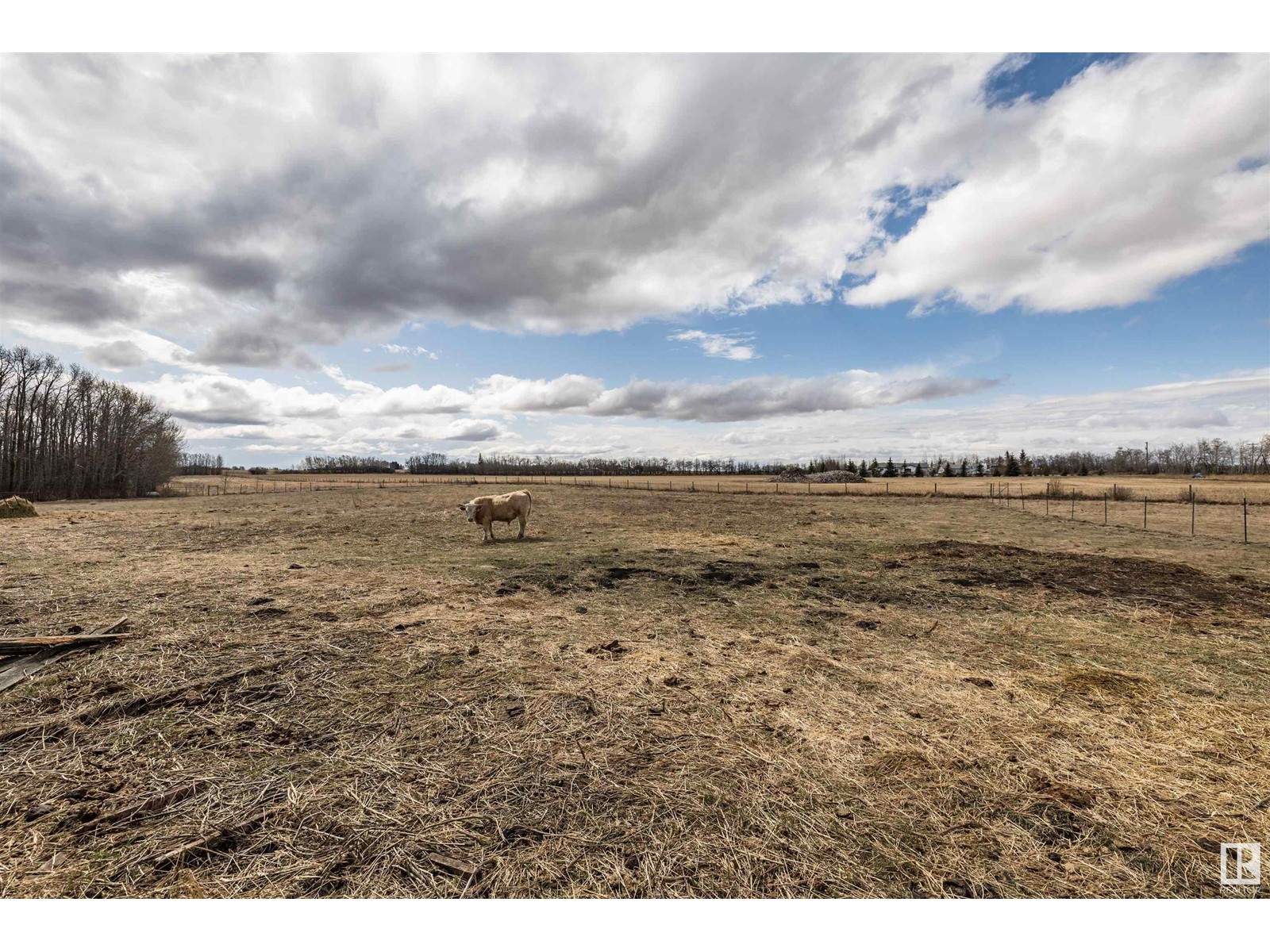 25509 Twp Rd 544 Ne, Rural Sturgeon County, Alberta  T8T 1M7 - Photo 32 - E4368936