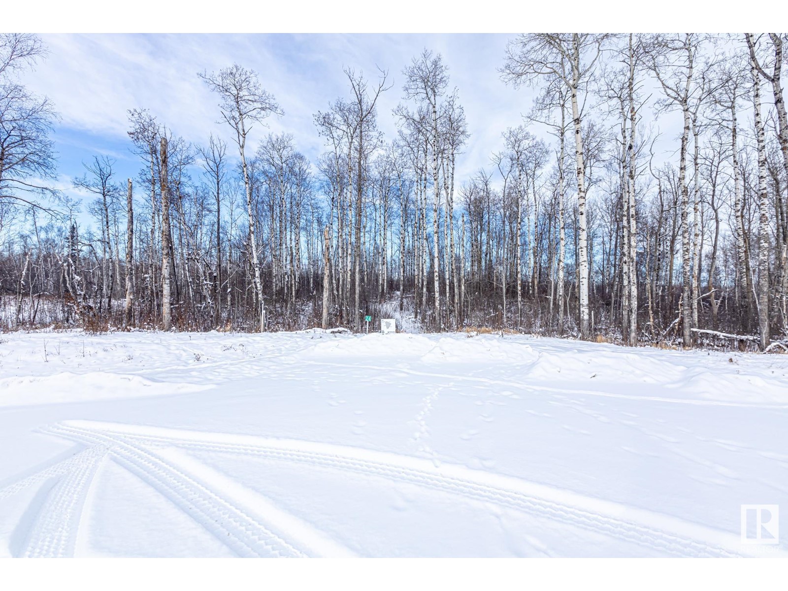 #24 53524 Rge Rd 275, Rural Parkland County, Alberta  T7X 3V6 - Photo 11 - E4370922