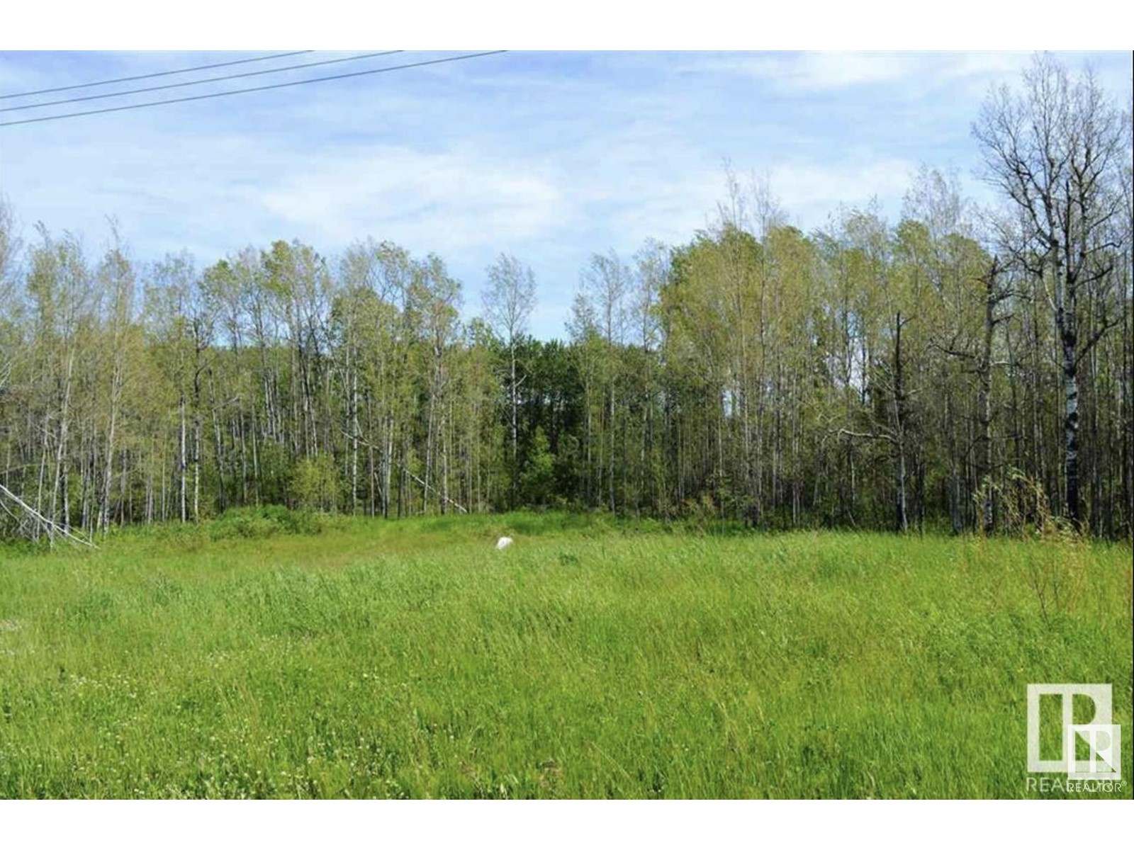 Property at 62331 Rge Road 411A image