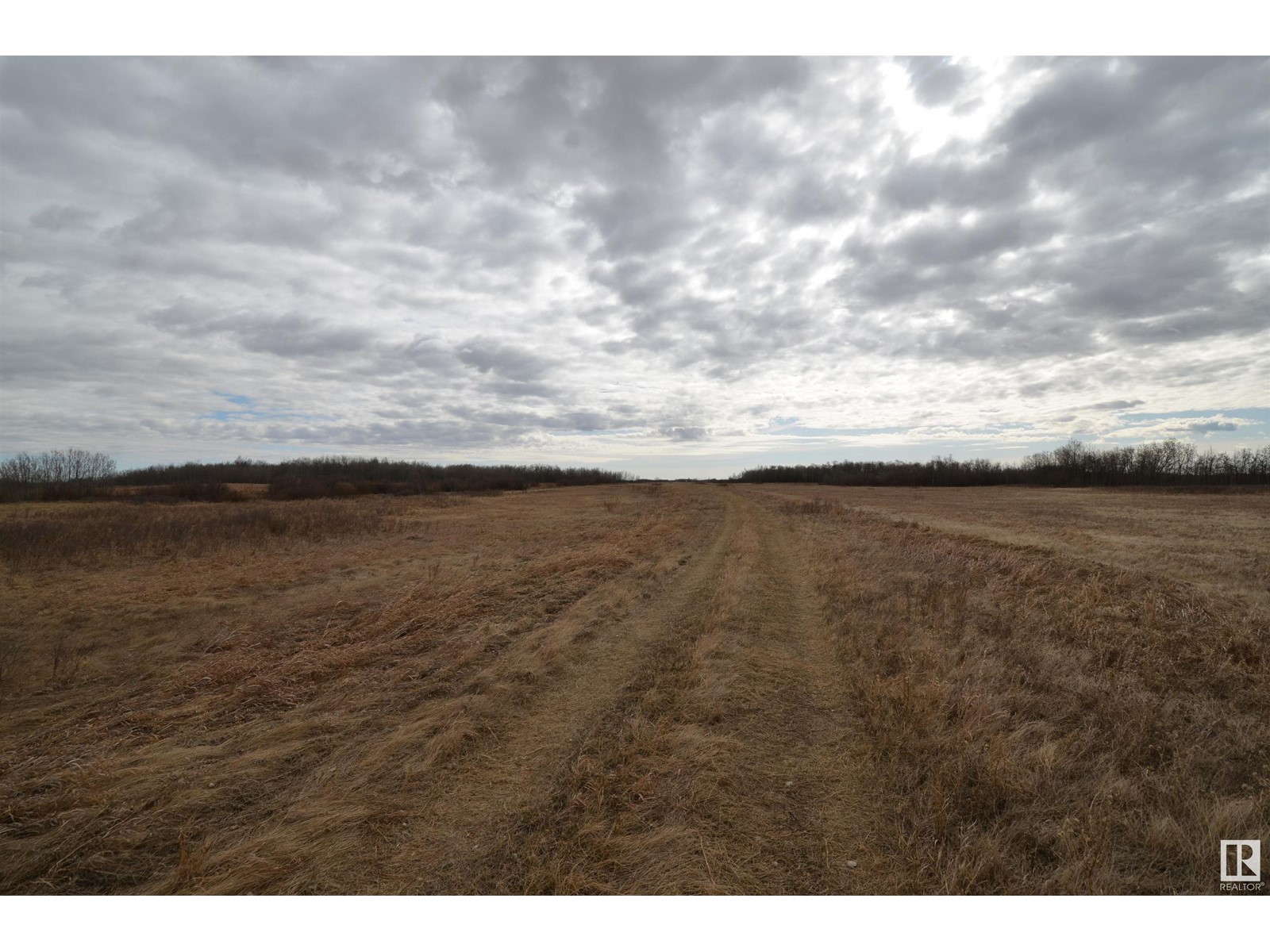 - -, Rural Lamont County, Alberta  T0B 2R0 - Photo 16 - E4379731