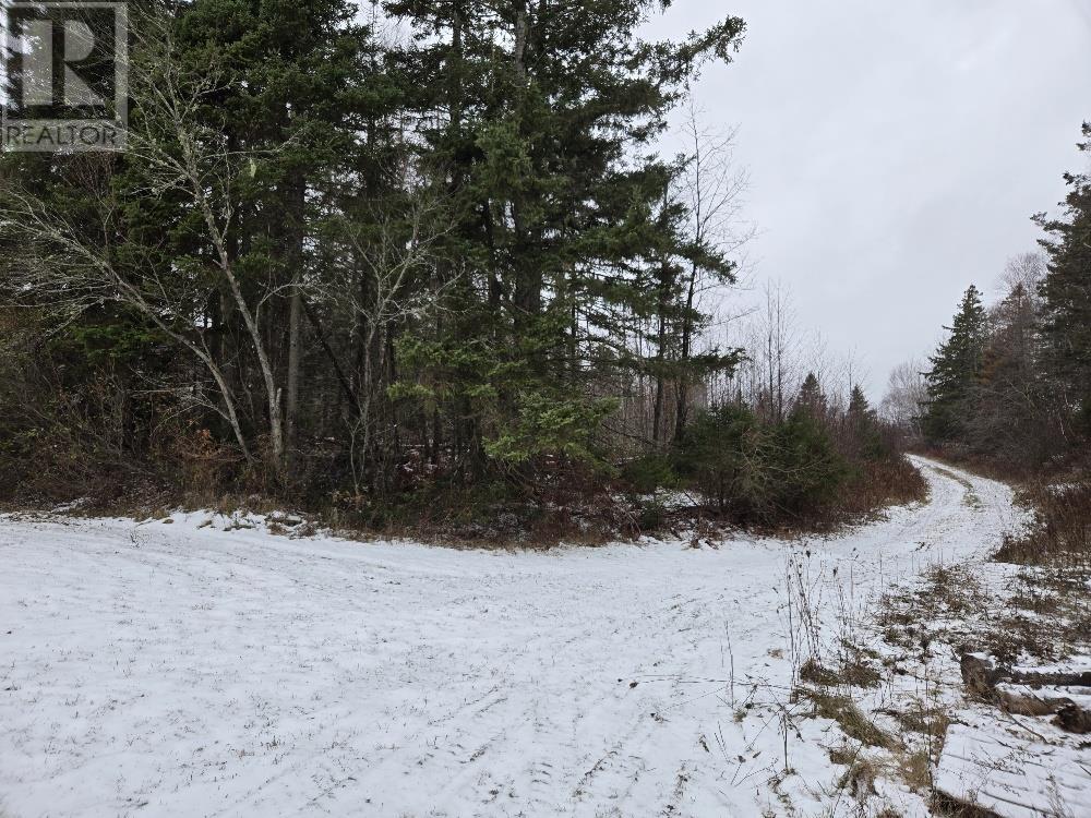 2415 Union Road-Rte 152, Montrose, Prince Edward Island  C0B 1X0 - Photo 21 - 202428433