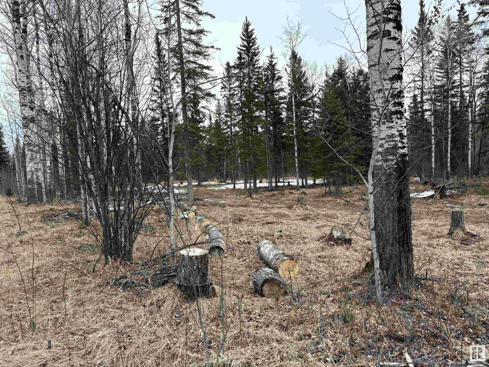 42218a Rd 651, Rural Bonnyville M.d., Alberta  T9M 1N2 - Photo 4 - E4383882