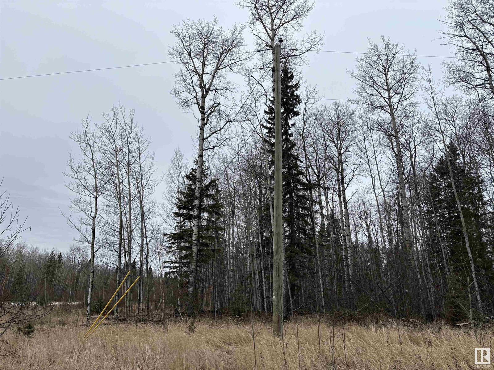 42218a Rd 651, Rural Bonnyville M.d., Alberta  T9M 1N2 - Photo 3 - E4383882