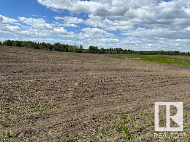 Rr 225 & Twpr 504 (Hwy 625), Rural Leduc County, Alberta  T0B 3M0 - Photo 3 - E4391592