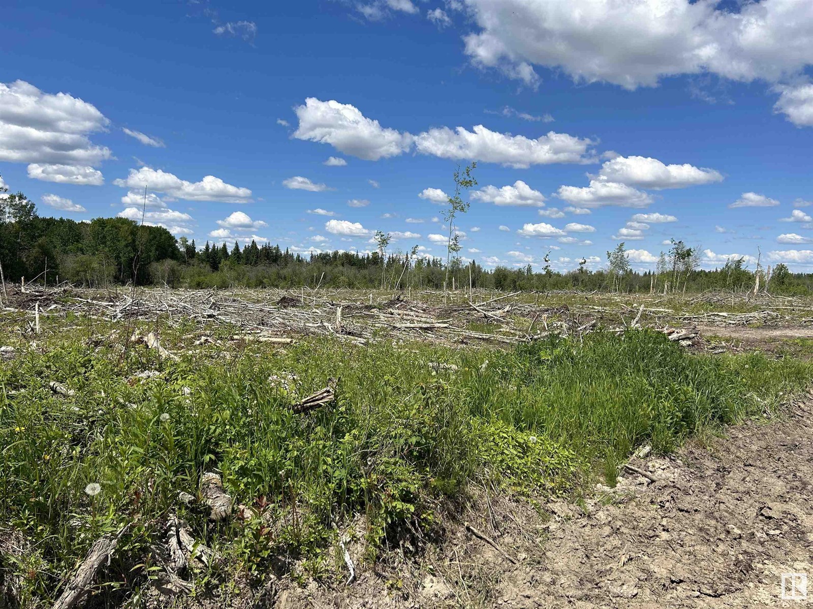 19564 Twp Rd 604a, Rural Athabasca County, Alberta  T0A 0M0 - Photo 2 - E4393619