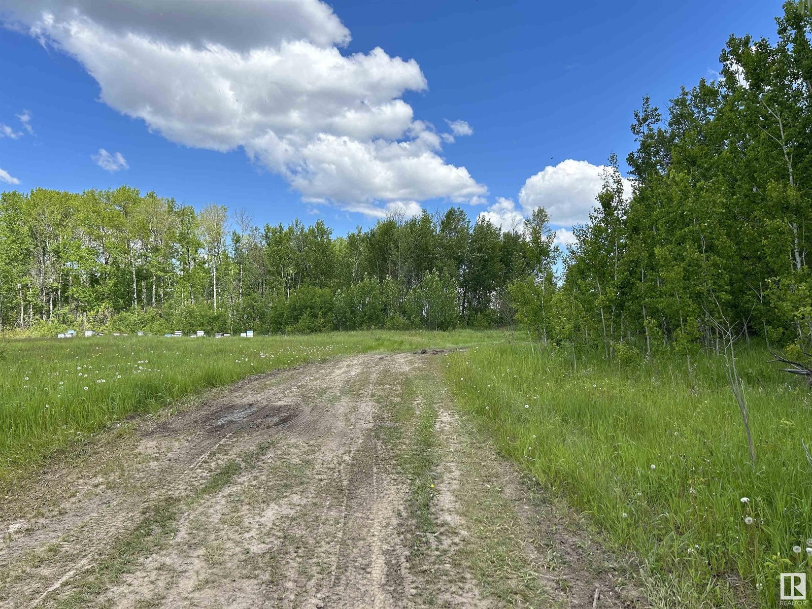 19564 Twp RD 604A, Rural Athabasca County, Alberta