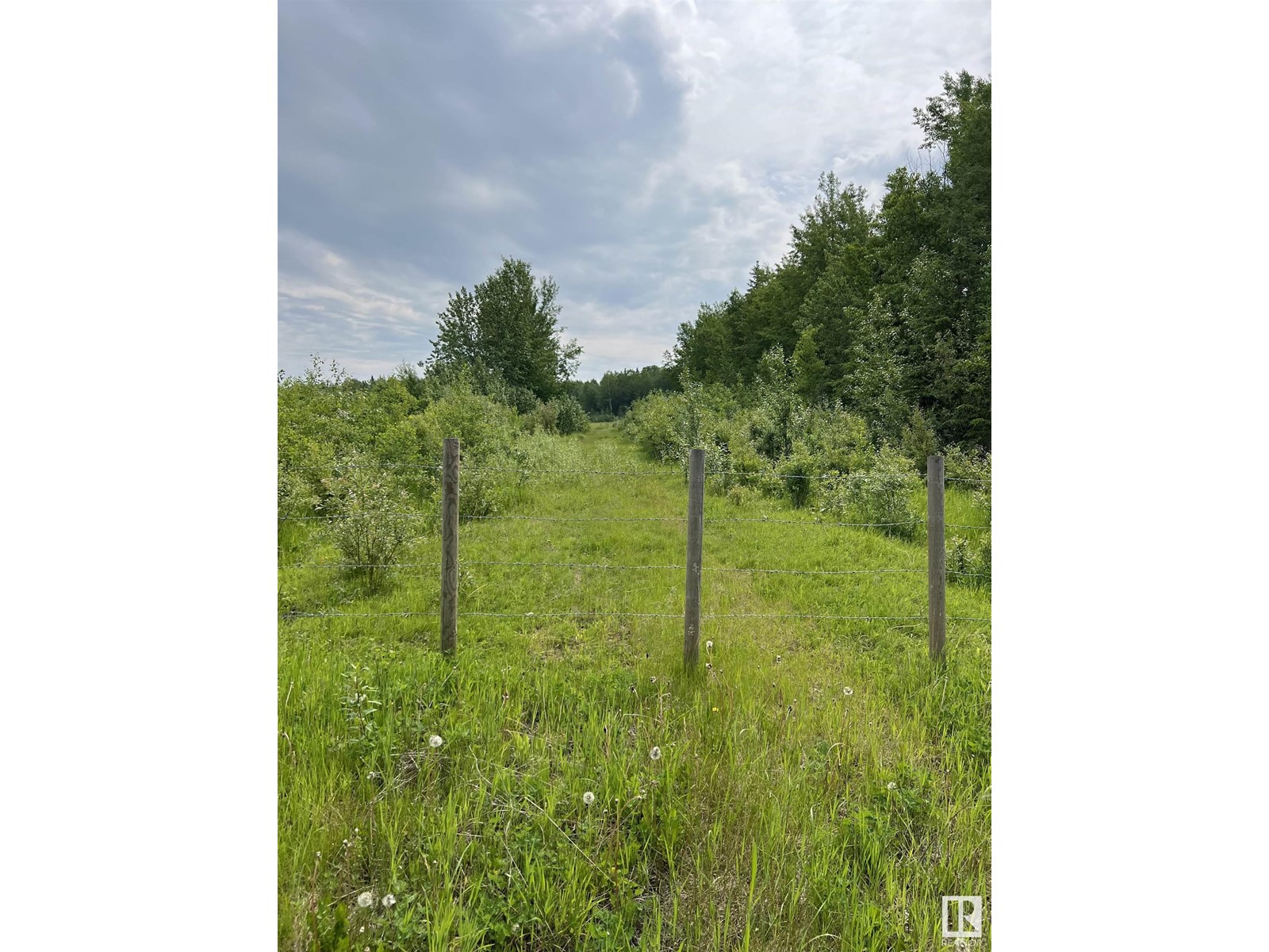 Se 18-61-22-4, Rural Thorhild County, Alberta  T0A 3J0 - Photo 1 - E4392114