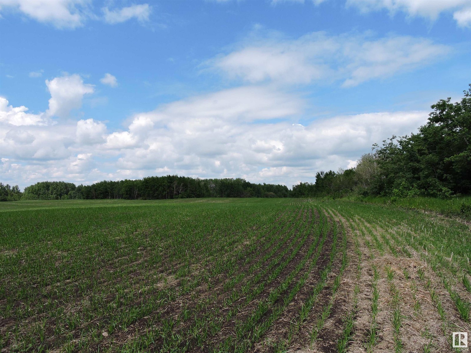 Range 103 Township 564, Rural St. Paul County, Alberta  T0A 2G0 - Photo 2 - E4396156