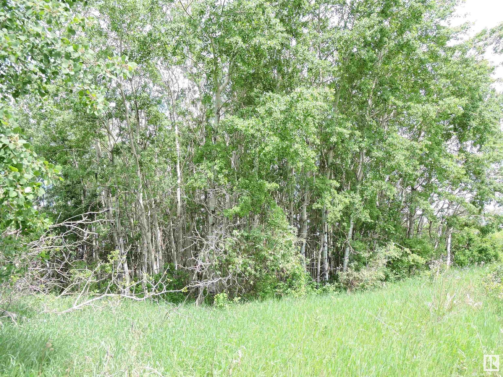Range Road 103 Township 564, Rural St. Paul County, Alberta  T0A 2G0 - Photo 2 - E4396159