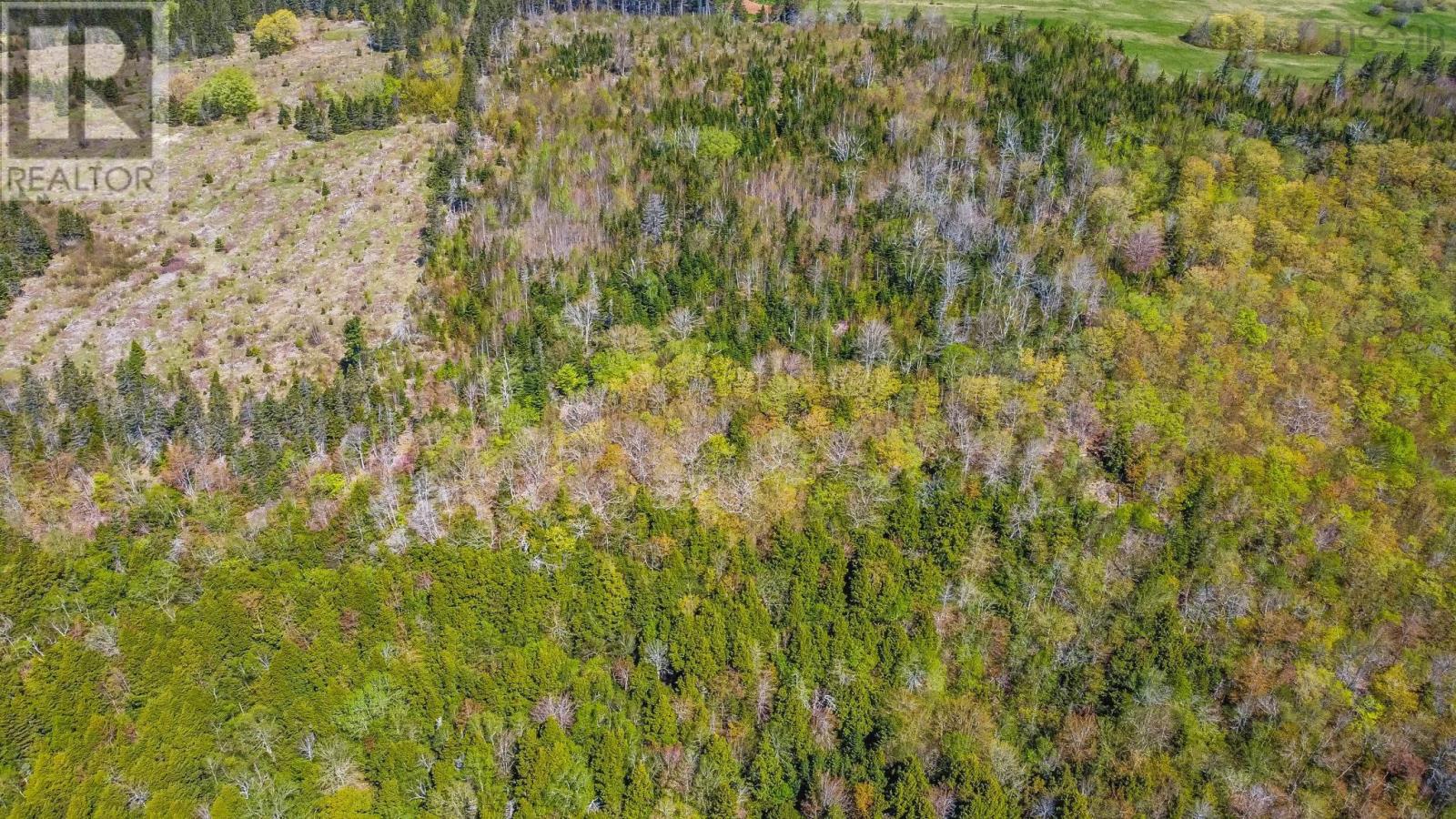 Lot 1 Brow Of Mountain Road, Garland, Nova Scotia  B0P 1E0 - Photo 14 - 202419093