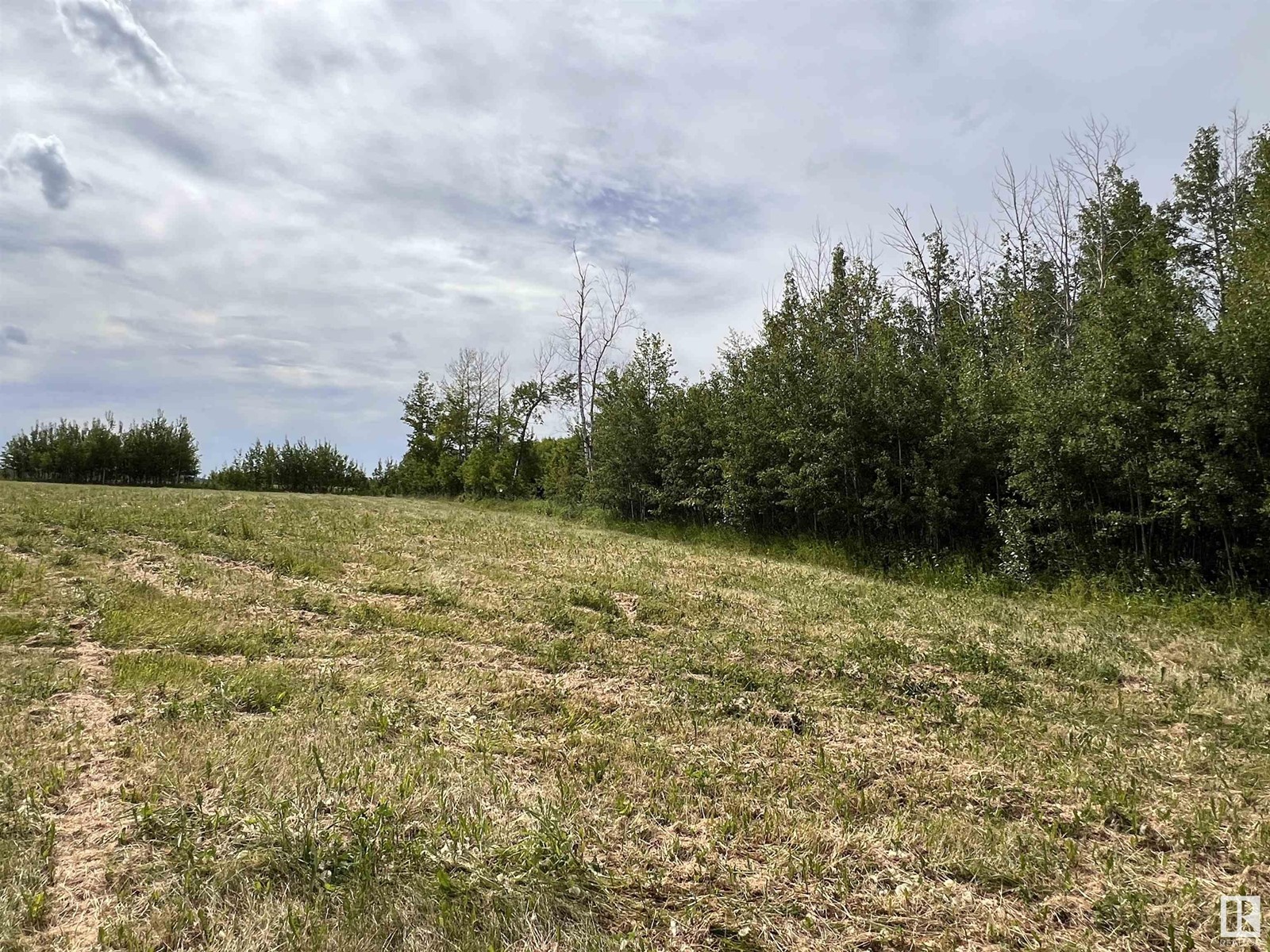 7302 Twp Rd 512, Rural Parkland County, Alberta  T0E 2H0 - Photo 15 - E4394501