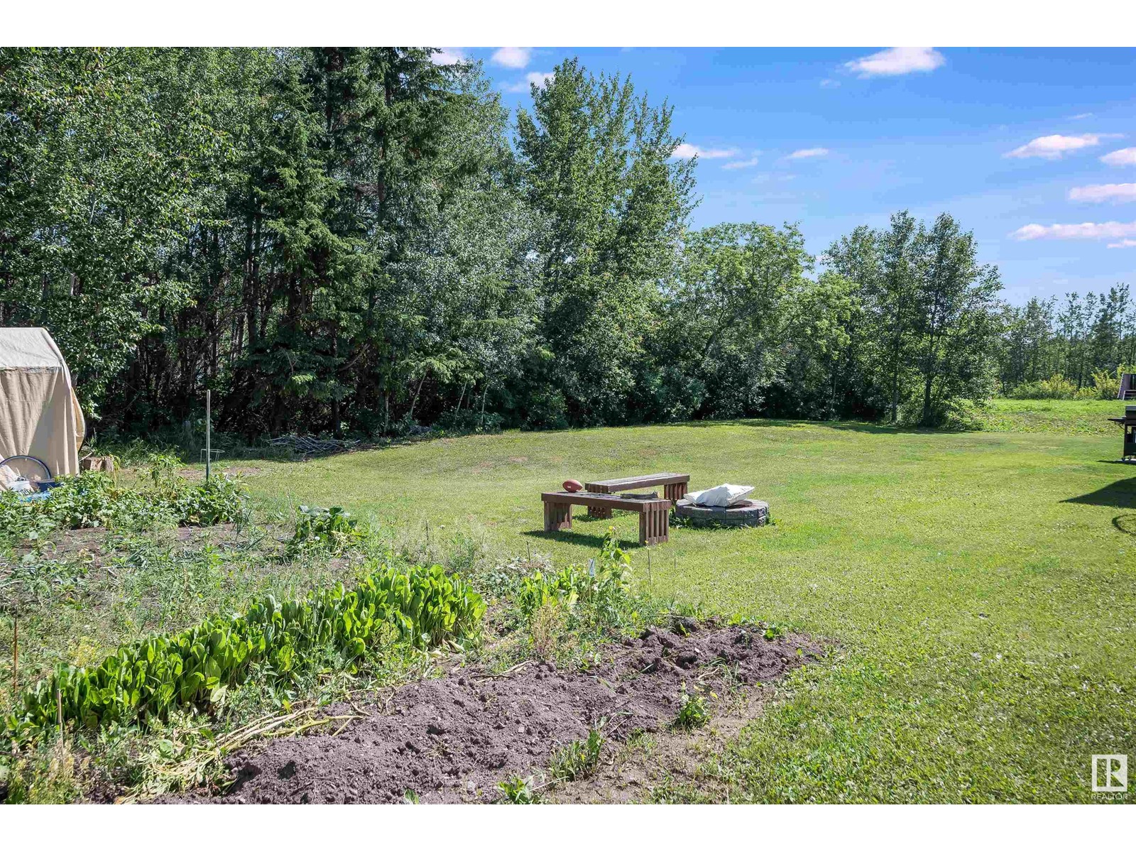 351 58532 Rge Rd 113, Rural St. Paul County, Alberta  T0A 3A0 - Photo 3 - E4401785